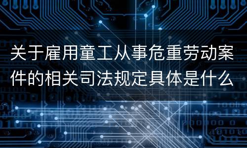 关于雇用童工从事危重劳动案件的相关司法规定具体是什么重要内容