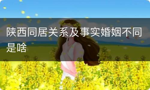 陕西同居关系及事实婚姻不同是啥