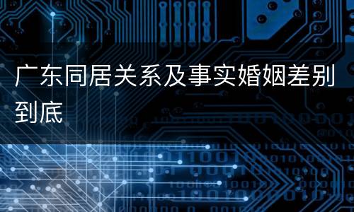 广东同居关系及事实婚姻差别到底