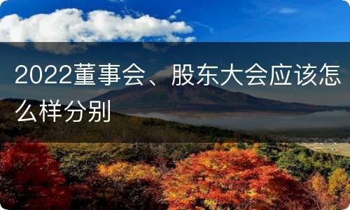 2022董事会、股东大会应该怎么样分别