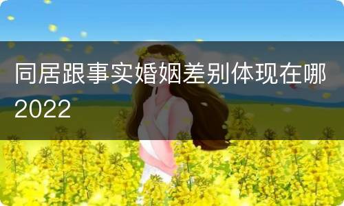 同居跟事实婚姻差别体现在哪2022