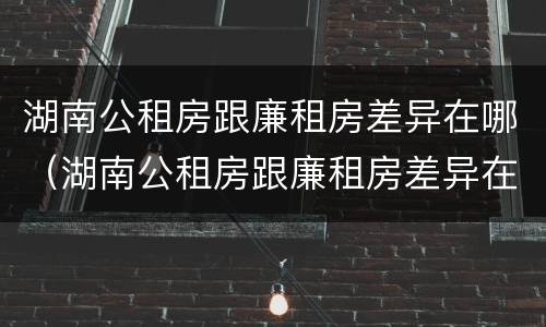 湖南公租房跟廉租房差异在哪（湖南公租房跟廉租房差异在哪查）