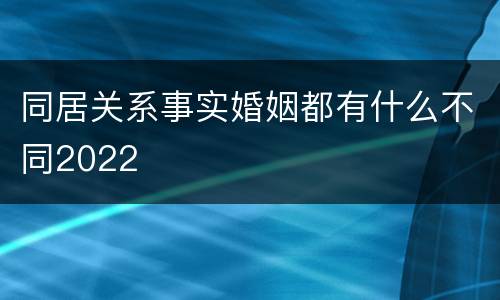 同居关系事实婚姻都有什么不同2022