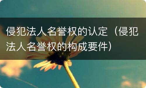 侵犯法人名誉权的认定（侵犯法人名誉权的构成要件）
