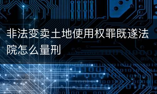 非法变卖土地使用权罪既遂法院怎么量刑
