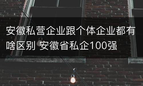 安徽私营企业跟个体企业都有啥区别 安徽省私企100强