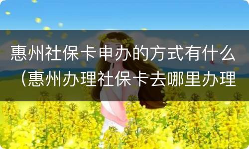 惠州社保卡申办的方式有什么（惠州办理社保卡去哪里办理）