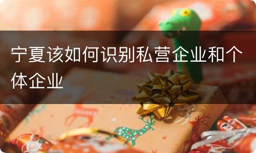 宁夏该如何识别私营企业和个体企业