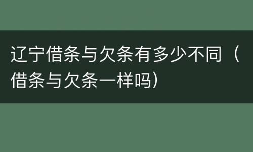 辽宁借条与欠条有多少不同（借条与欠条一样吗）