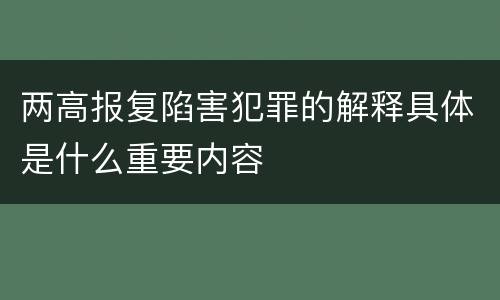 两高报复陷害犯罪的解释具体是什么重要内容
