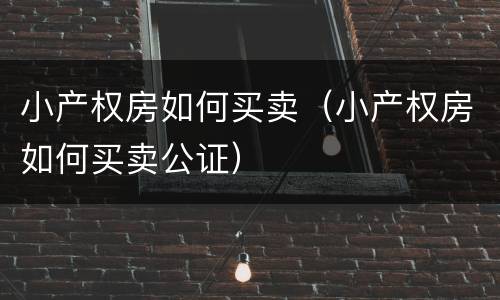 小产权房如何买卖（小产权房如何买卖公证）