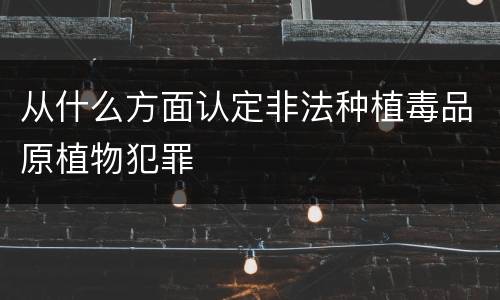 从什么方面认定非法种植毒品原植物犯罪
