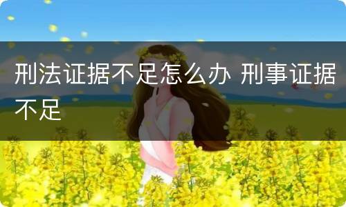 刑法证据不足怎么办 刑事证据不足