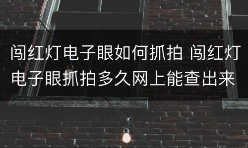 闯红灯电子眼如何抓拍 闯红灯电子眼抓拍多久网上能查出来