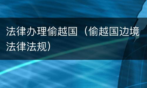 法律办理偷越国（偷越国边境法律法规）