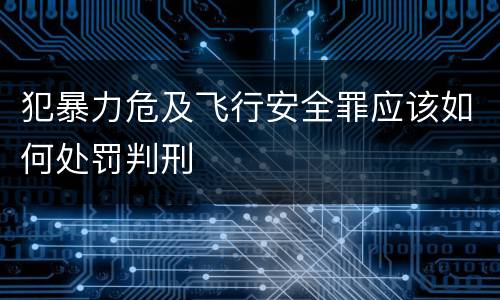 犯暴力危及飞行安全罪应该如何处罚判刑