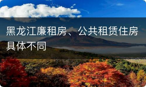 黑龙江廉租房、公共租赁住房具体不同