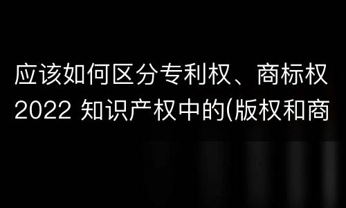 应该如何区分专利权、商标权2022 知识产权中的(版权和商标权与标准