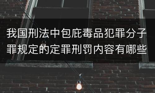 我国刑法中包庇毒品犯罪分子罪规定的定罪刑罚内容有哪些