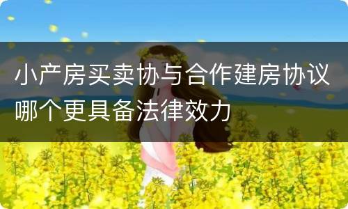 小产房买卖协与合作建房协议哪个更具备法律效力