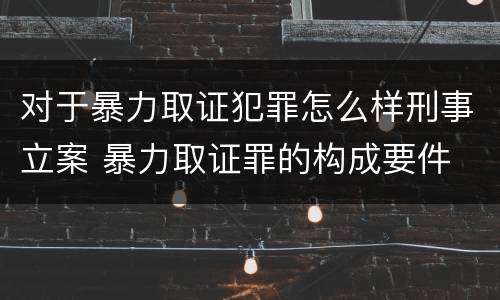 对于暴力取证犯罪怎么样刑事立案 暴力取证罪的构成要件