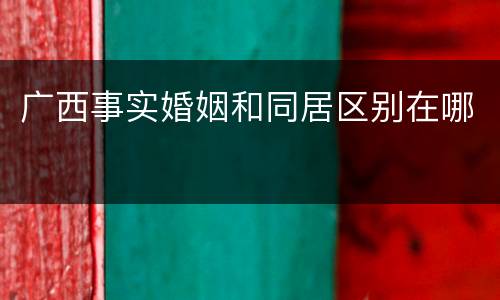广西事实婚姻和同居区别在哪