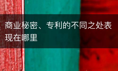 商业秘密、专利的不同之处表现在哪里