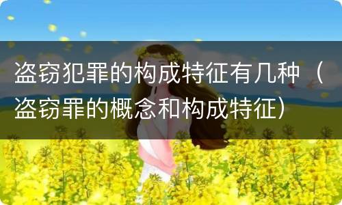 盗窃犯罪的构成特征有几种（盗窃罪的概念和构成特征）