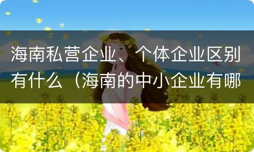 海南私营企业、个体企业区别有什么（海南的中小企业有哪些）