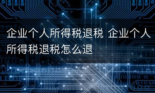 企业个人所得税退税 企业个人所得税退税怎么退