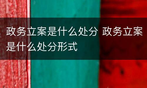 政务立案是什么处分 政务立案是什么处分形式