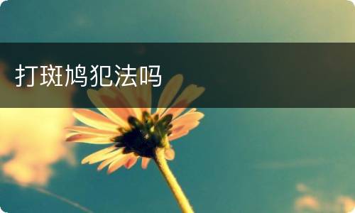打斑鸠犯法吗