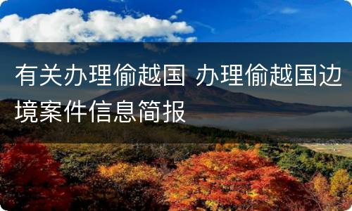 有关办理偷越国 办理偷越国边境案件信息简报