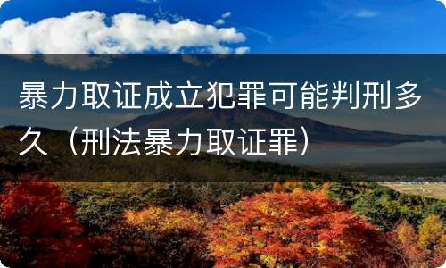 暴力取证成立犯罪可能判刑多久（刑法暴力取证罪）