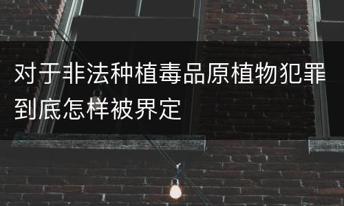 对于非法种植毒品原植物犯罪到底怎样被界定