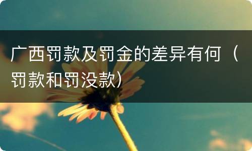 广西罚款及罚金的差异有何（罚款和罚没款）
