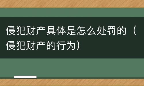 侵犯财产具体是怎么处罚的（侵犯财产的行为）