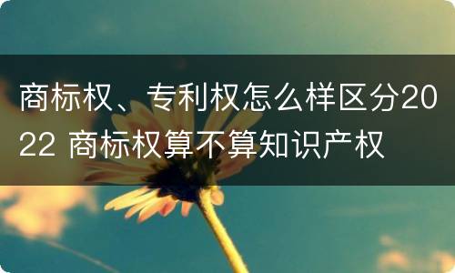 商标权、专利权怎么样区分2022 商标权算不算知识产权