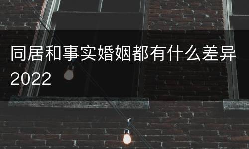 同居和事实婚姻都有什么差异2022