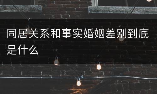 同居关系和事实婚姻差别到底是什么