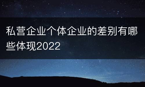 私营企业个体企业的差别有哪些体现2022