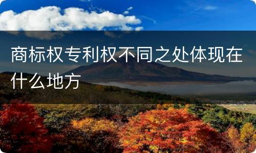 商标权专利权不同之处体现在什么地方