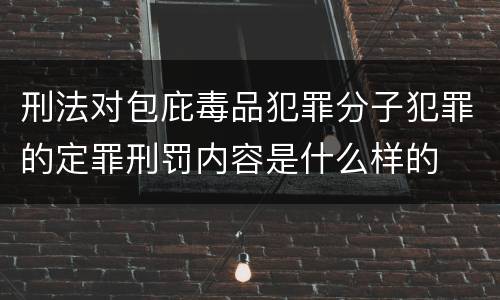 刑法对包庇毒品犯罪分子犯罪的定罪刑罚内容是什么样的