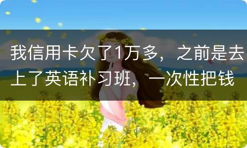 我信用卡欠了1万多，之前是去上了英语补习班，一次性把钱刷了，准备每个月按信用