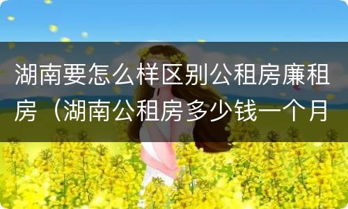 湖南要怎么样区别公租房廉租房（湖南公租房多少钱一个月）