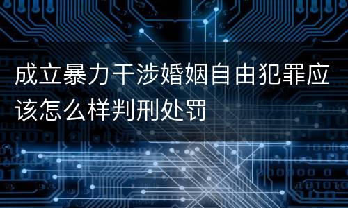 成立暴力干涉婚姻自由犯罪应该怎么样判刑处罚