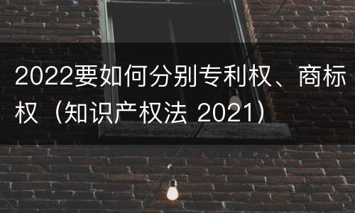 2022要如何分别专利权、商标权（知识产权法 2021）