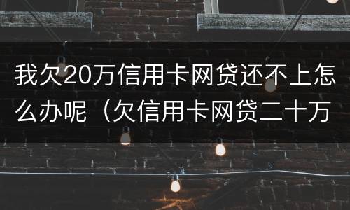 我欠20万信用卡网贷还不上怎么办呢（欠信用卡网贷二十万无力偿还）