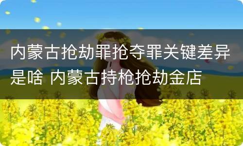 内蒙古抢劫罪抢夺罪关键差异是啥 内蒙古持枪抢劫金店