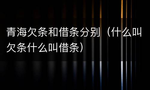 青海欠条和借条分别（什么叫欠条什么叫借条）